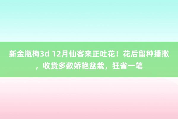 新金瓶梅3d 12月仙客来正吐花！花后留种播撒，收货多数娇艳盆栽，狂省一笔