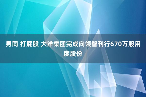 男同 打屁股 大洋集团完成向领智刊行670万股用度股份