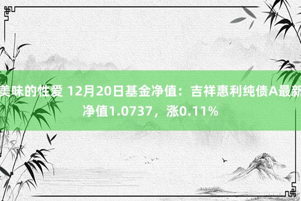 美味的性爱 12月20日基金净值：吉祥惠利纯债A最新净值1.0737，涨0.11%