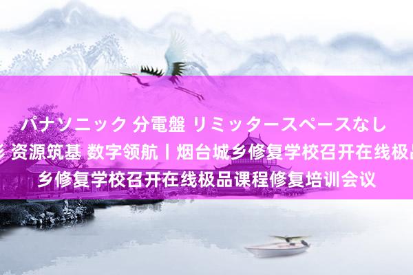 パナソニック 分電盤 リミッタースペースなし 露出・半埋込両用形 资源筑基 数字领航丨烟台城乡修复学校召开在线极品课程修复培训会议