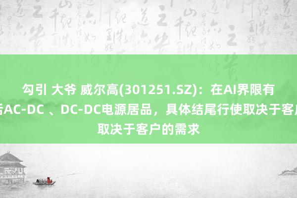 勾引 大爷 威尔高(301251.SZ)：在AI界限有布局包括AC-DC 、DC-DC电源居品，具体结尾行使取决于客户的需求