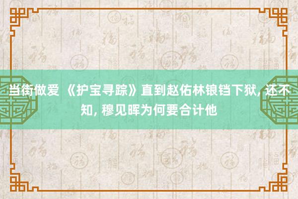 当街做爱 《护宝寻踪》直到赵佑林锒铛下狱， 还不知， 穆见晖为何要合计他